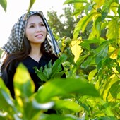 Thái Ngọc Thanh hoá thôn nữ duyên dáng